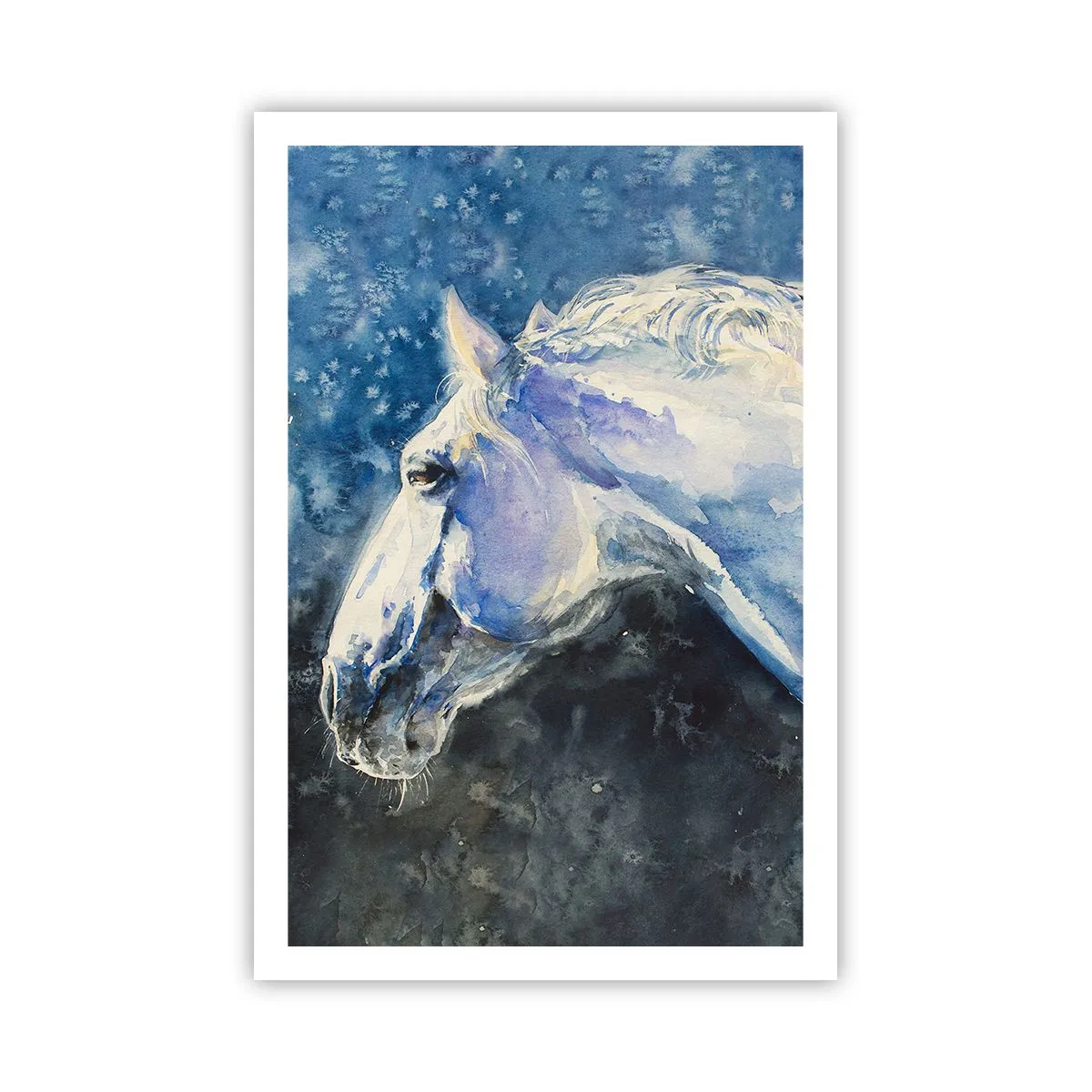 Affisch - Porträtt i blått sken - 61x91 cm