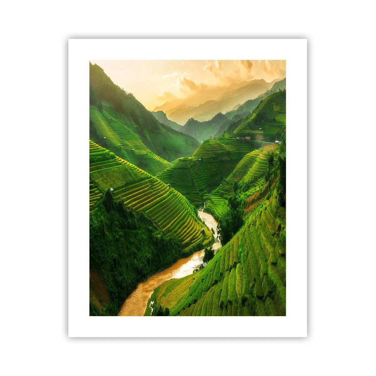 Affisch - Vietnamesisk dal - 40x50 cm