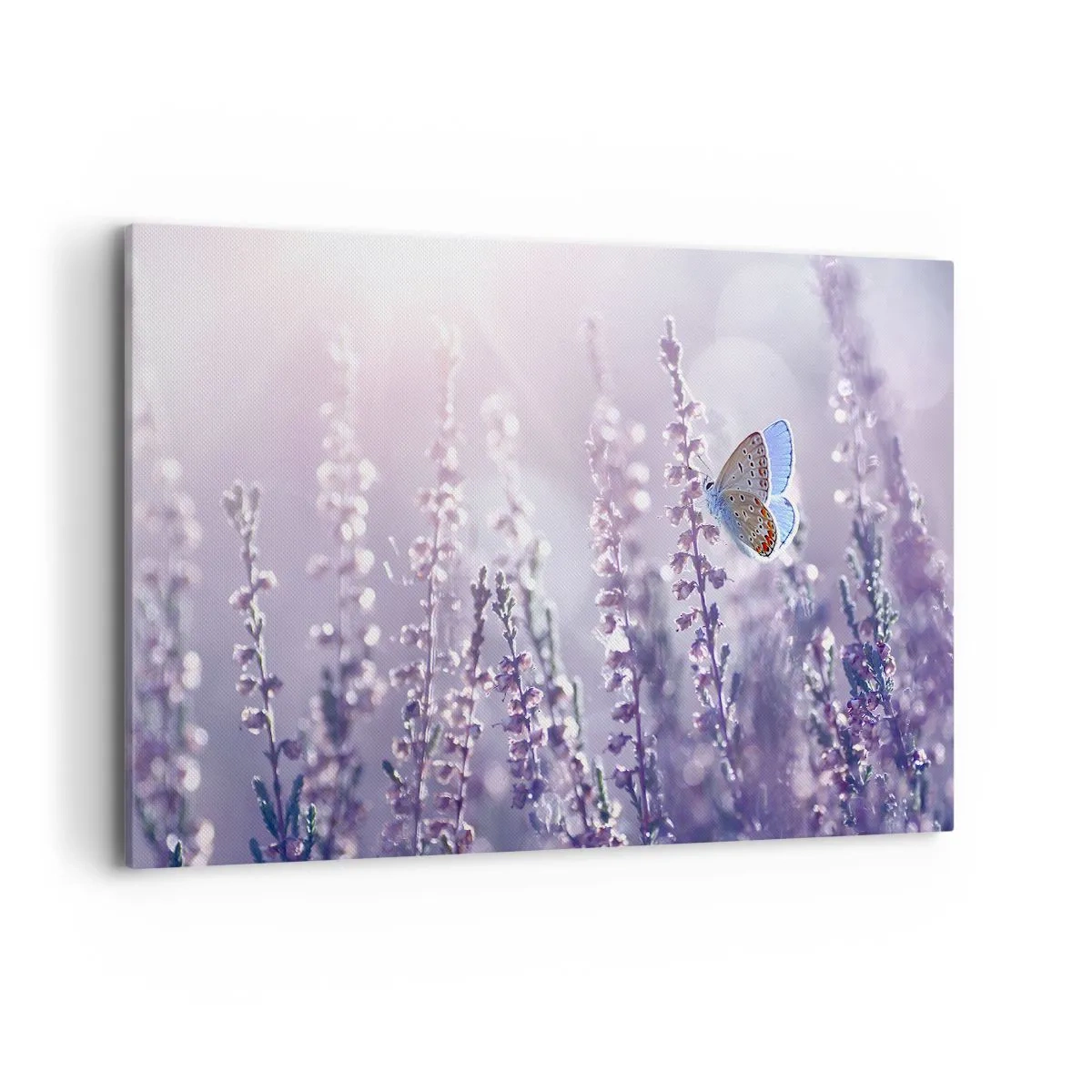 Canvastavla - Bild på duk - En fjärils kyss - 120x80 cm