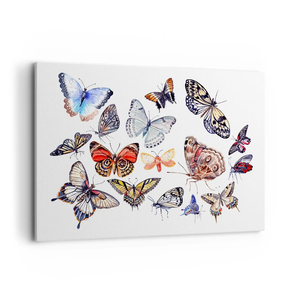 Canvastavla - Bild på duk - Färgglada fjärilar - 100x70 cm