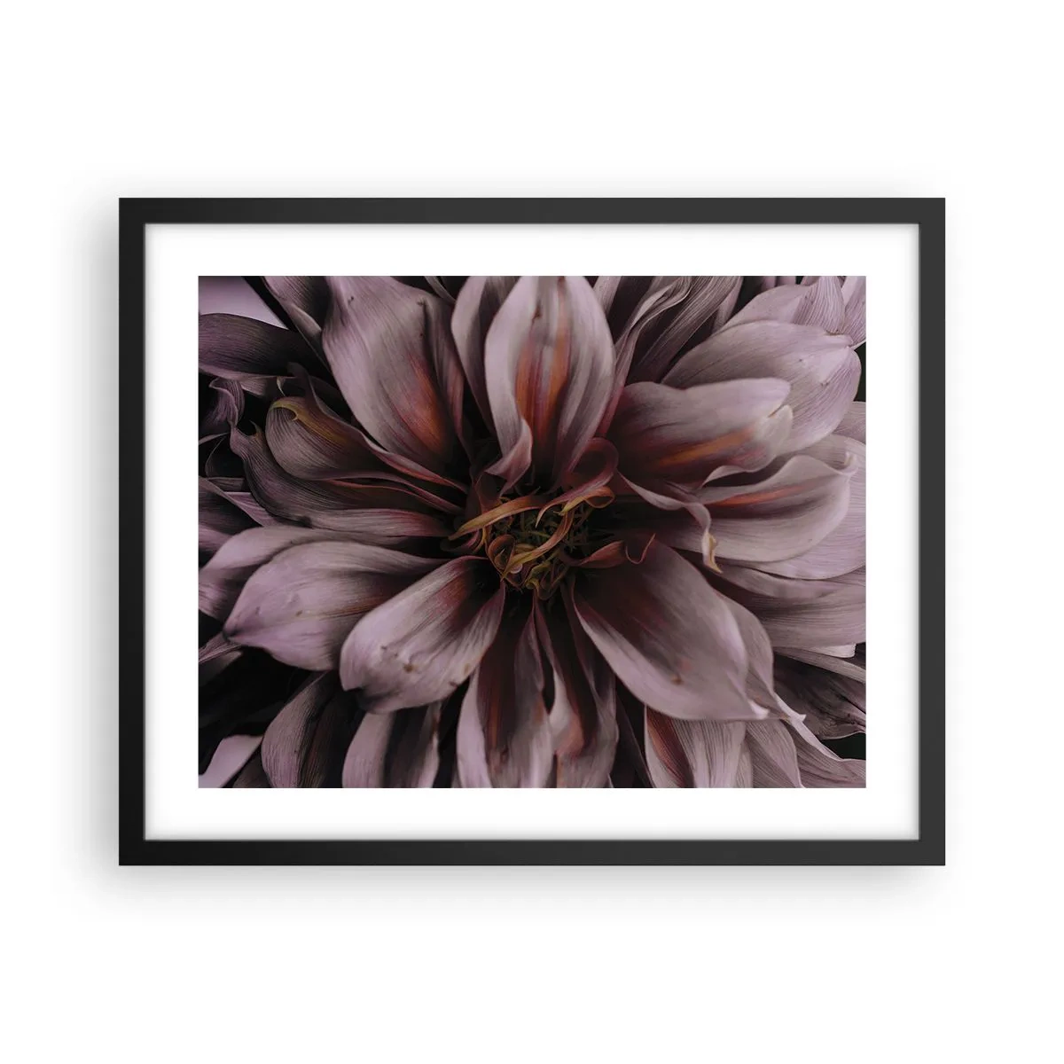 Affisch i svart ram - Blommigt hjärta - 50x40 cm