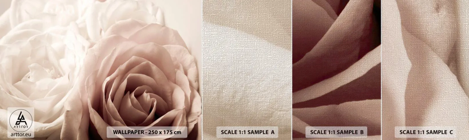 Provbit av fototapet Premium Canvas - I hjärtat av en ros - Rosor, Blommor, Romantisk - 100x30 cm