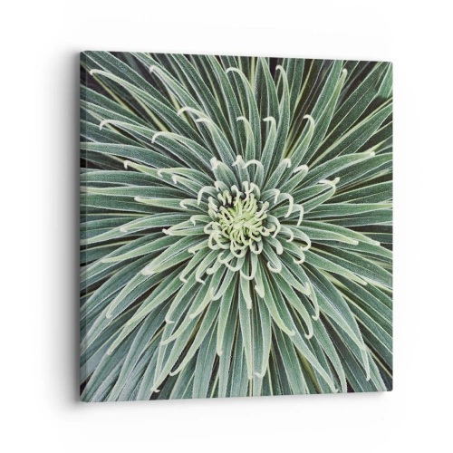 Canvastavla - Bild på duk - Stjärna föds - 30x30 cm