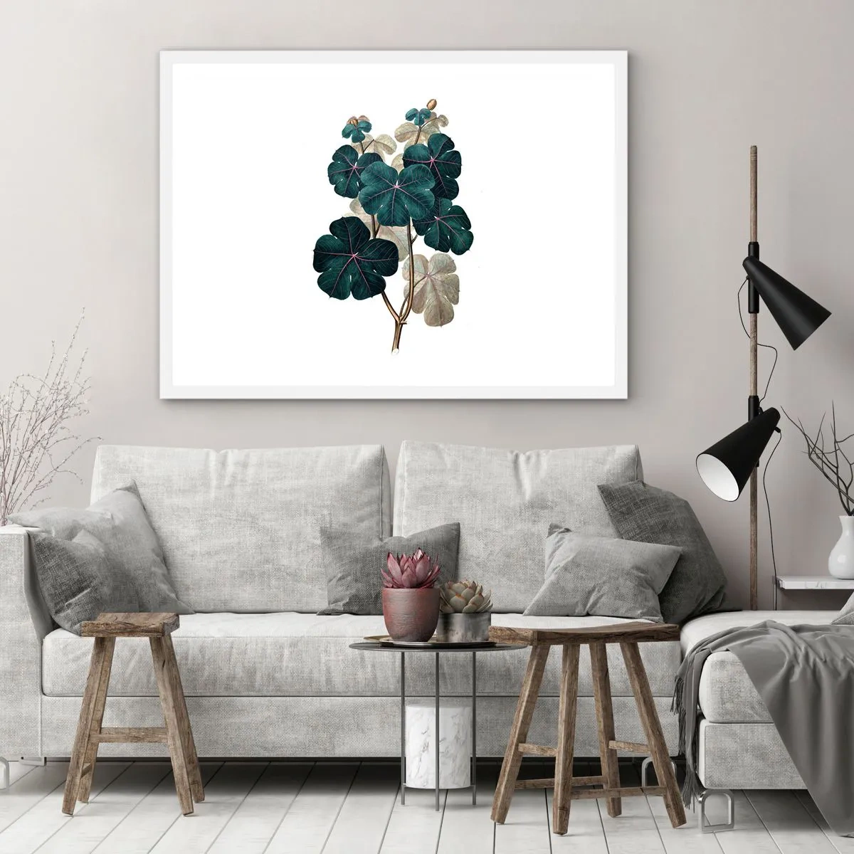 Affisch i vit ram - Från ett gammalt herbarium - 70x50 cm