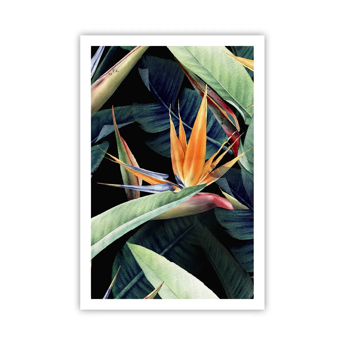 Affisch - Tropikens brinnande blommor - 61x91 cm