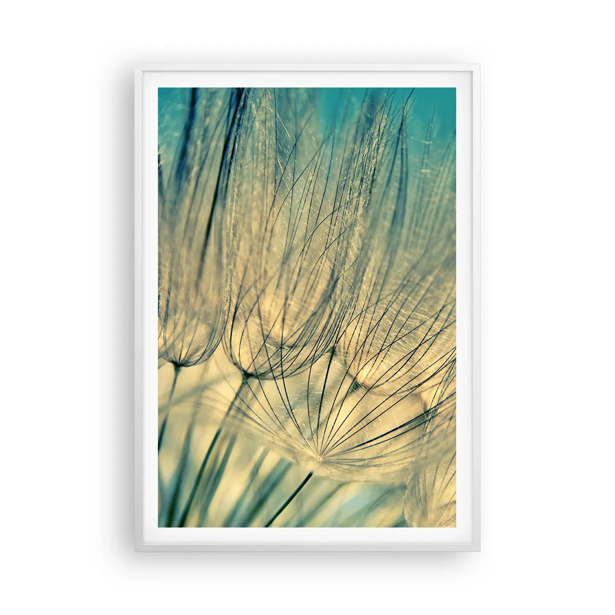 Affisch i vit ram - I väntan på vinden - 70x100 cm