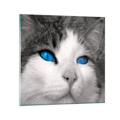 Glastavla - Bild på glas - Ovanligt blåögd - 30x30 cm