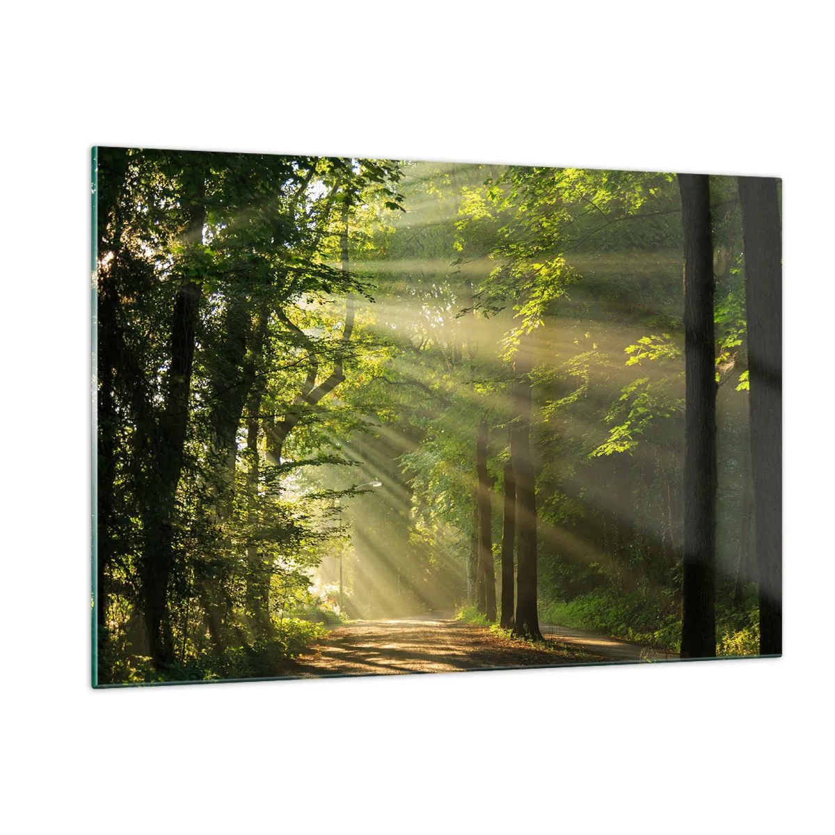 Glastavla - Bild på glas - En stund i skogen - 120x80 cm
