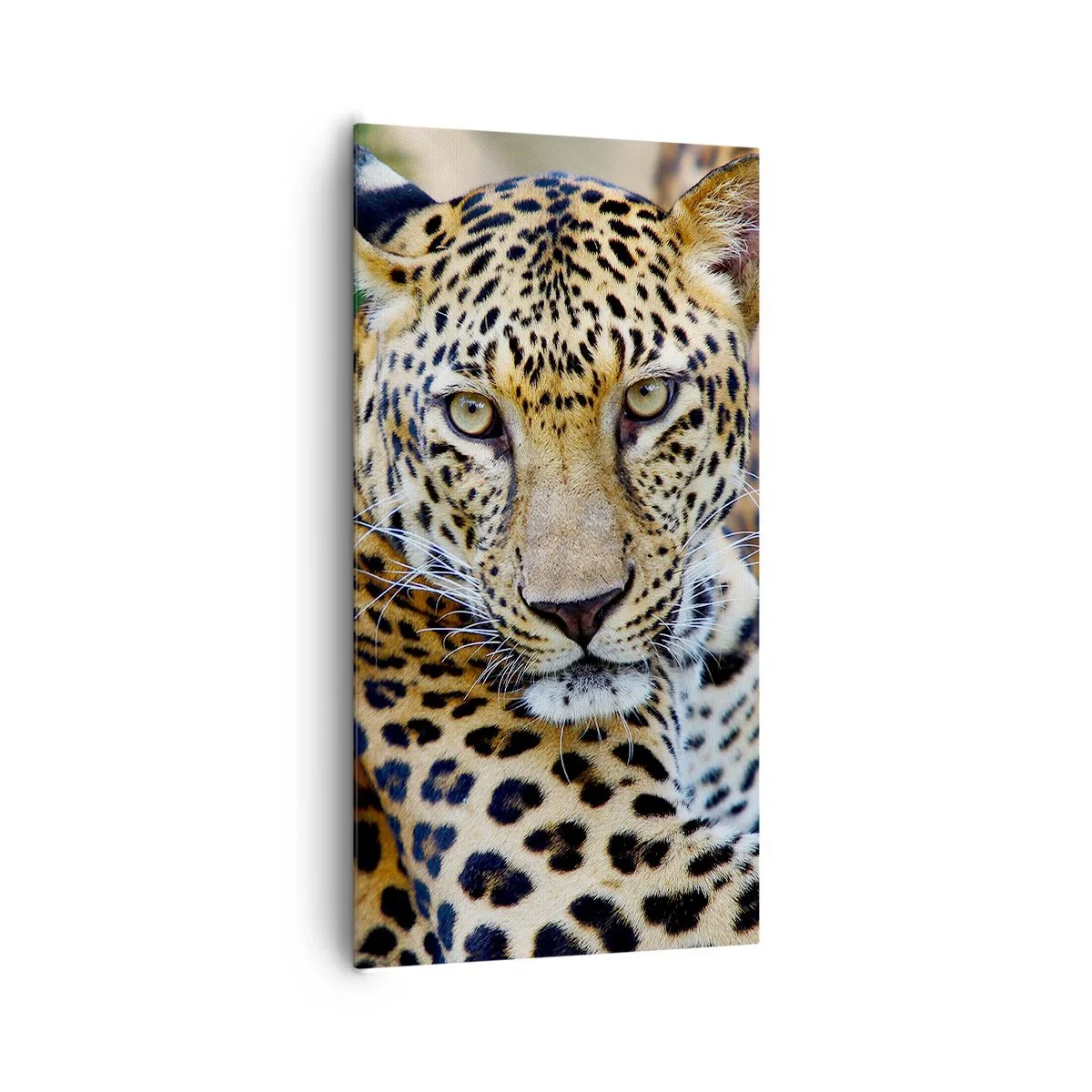 Canvastavla - Bild på duk - Vild och lugn - 65x120 cm