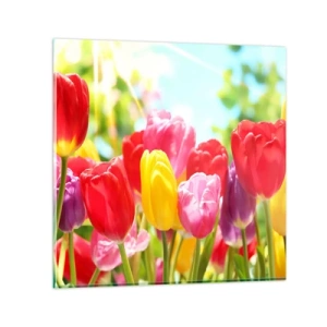 Glastavla - Bild på glas - Det är vi, majfärgerna! - 70x70 cm