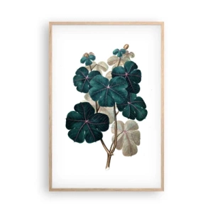 Affisch i ram av ljusek - Från ett gammalt herbarium - 61x91 cm