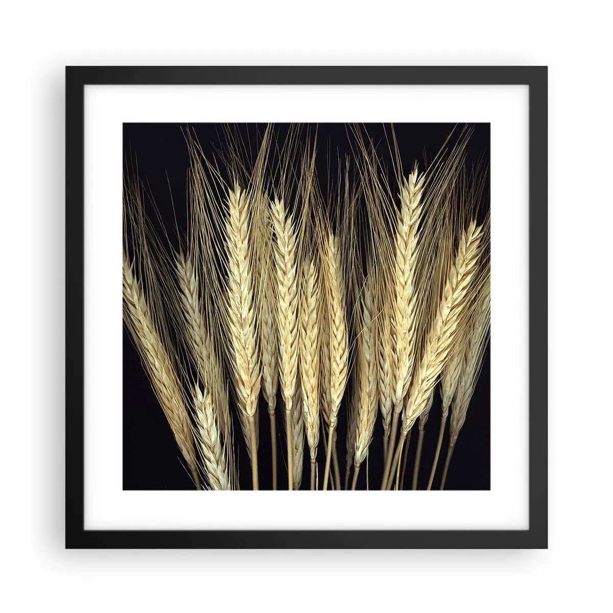 Affisch i svart ram - Rustik magi - 40x40 cm