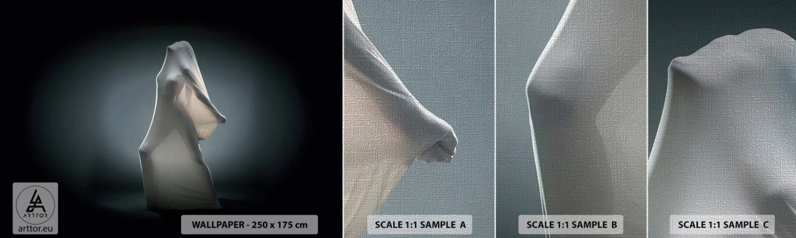 Provbit av fototapet Premium Canvas - Dolda drömmar - Kvinna, Dansa, Bit - 100x30 cm