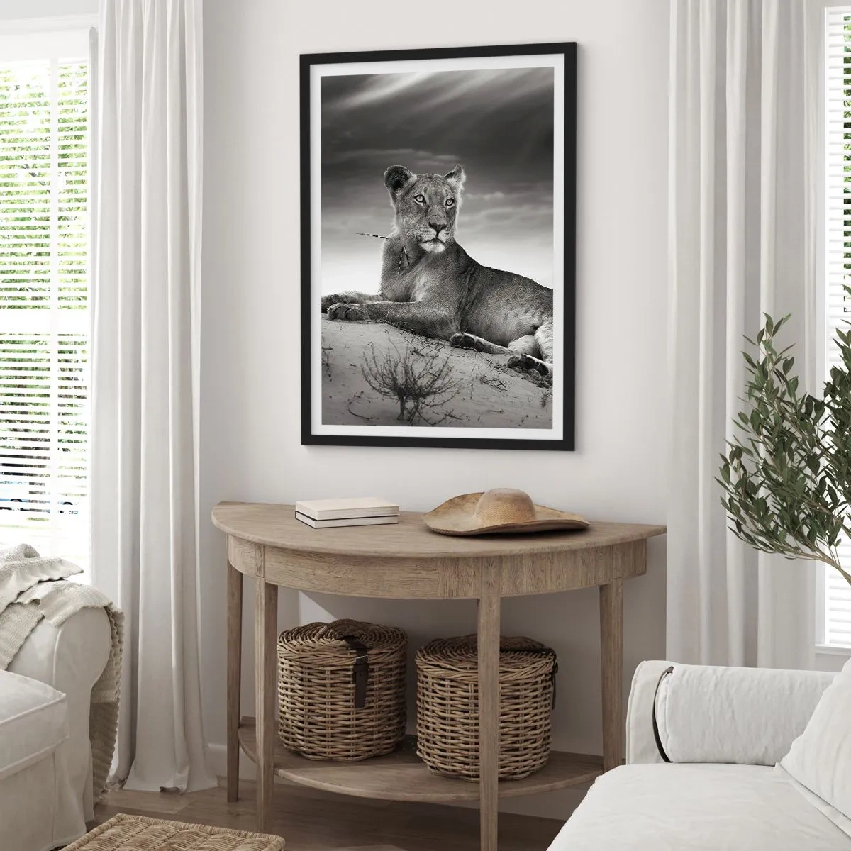 Affisch i svart ram - Öknens drottnings vila - 70x100 cm