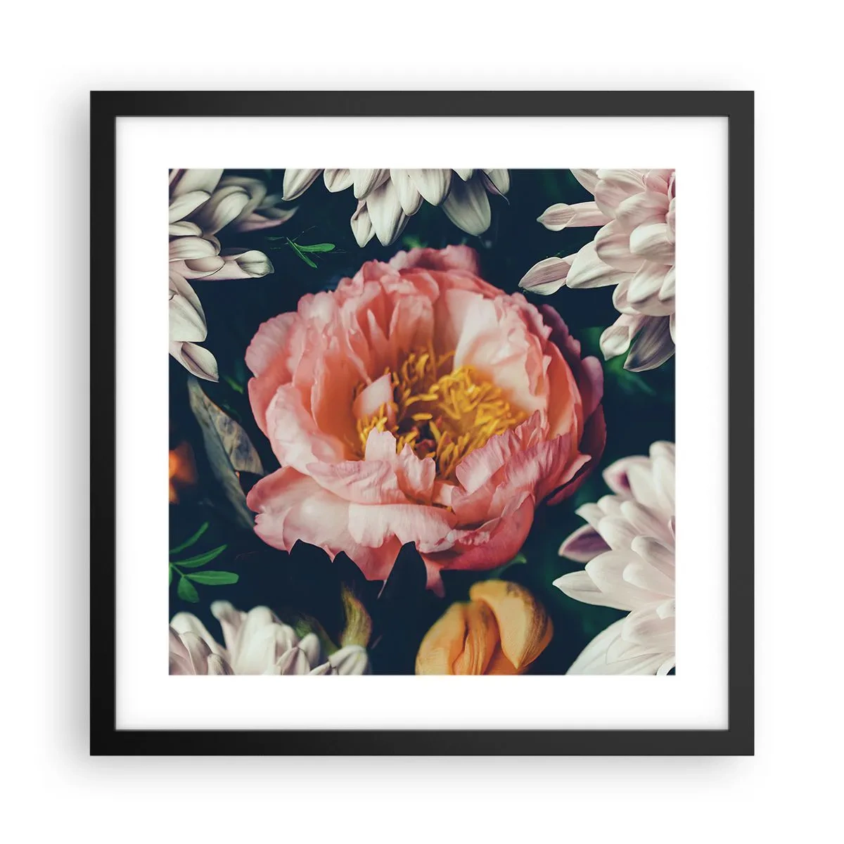 Affisch i svart ram - Med barockprakt - 40x40 cm