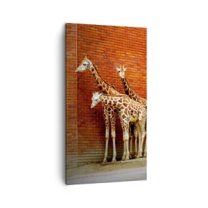 Canvastavla - Bild på duk - Ser ni någon akacia? - 45x80 cm