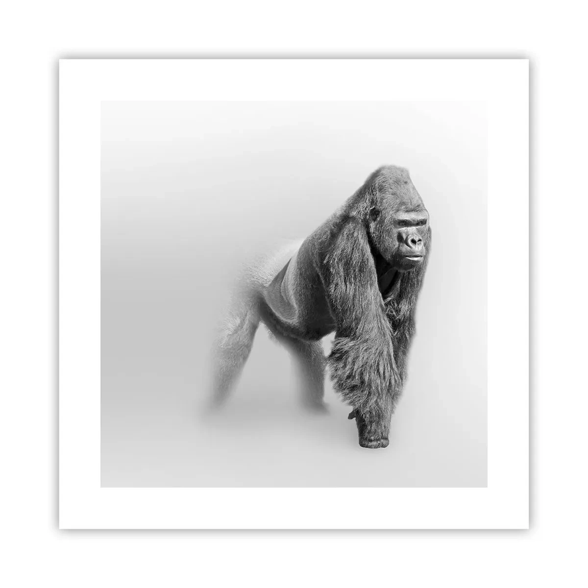 Affisch - Övertygad om sin styrka - 40x40 cm