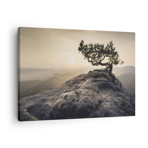 Canvastavla - Bild på duk - Ett ensamt träd på en klippig topp i solljuset - 70x50cm - Livet vinner alltid - Modern väggdekoration för vardagsrum och sovrum ARTTOR