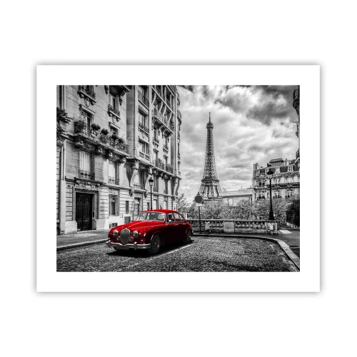 Affisch - Rovdjuret i staden - 50x40 cm