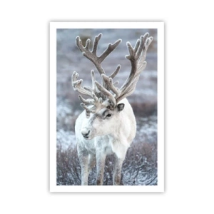 Affisch - Porträtt i solsken - 61x91 cm