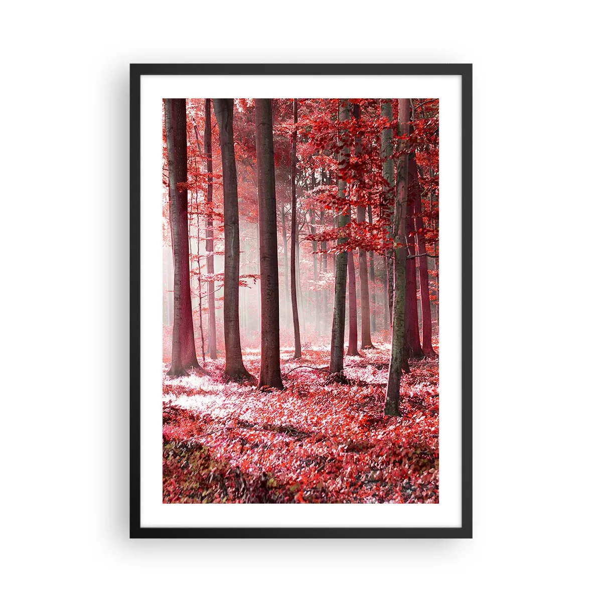 Affisch i svart ram - En skog med röda löv och dimma på morgonen - 50x70cm - Röd är lika vacker - Modern väggdekoration för vardagsrum och sovrum ARTTOR