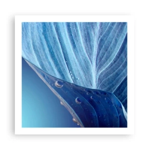 Affisch - Dolda droppar av blått - 60x60 cm