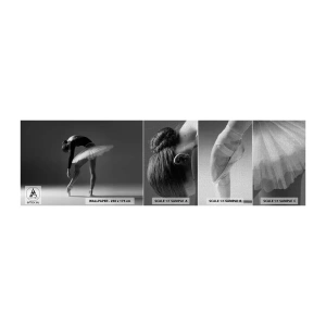Provbit av fototapet Premium Canvas - Bella ballerina - Ballerina, Balett, Dansa - 100x30 cm