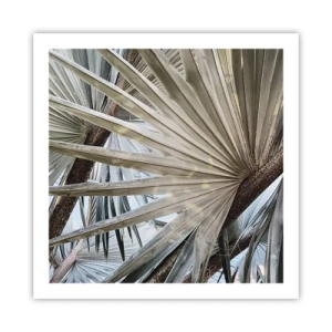 Affisch - Solfjädrarna i tropikerna - 60x60 cm