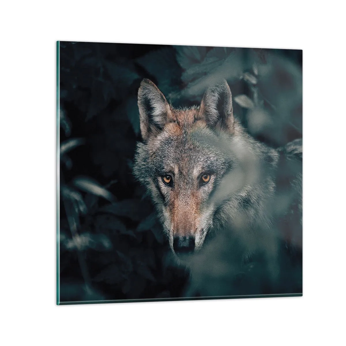 Glastavla - Bild på glas - Jägare - 40x40 cm