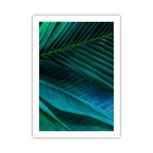 Affisch - Grönskans anatomi - 50x70 cm