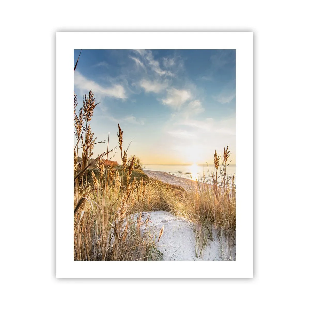 Affisch - Nordlig strand - 40x50 cm