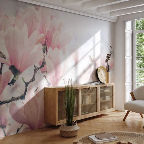 Självhäftande Fototapet Deluxe Sticker - Perfekt subtilitet - Magnolia, Blommor, Magnolia träd - 100x70 cm