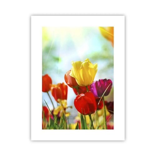 Affisch - Solens alla färger - 30x40 cm