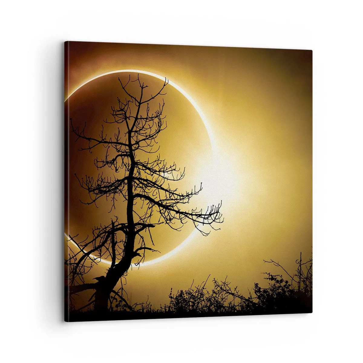 Canvastavla - Bild på duk - Total förmörkelse - 60x60 cm