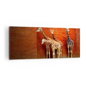 Canvastavla - Bild på duk - Ser ni någon akacia? - 100x40 cm