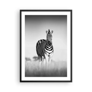 Affisch i svart ram - En zebra i en svartvit komposition på savannen - 50x70cm - Men dock världen är svart-vit - Modern väggdekoration för vardagsrum och sovrum ARTTOR