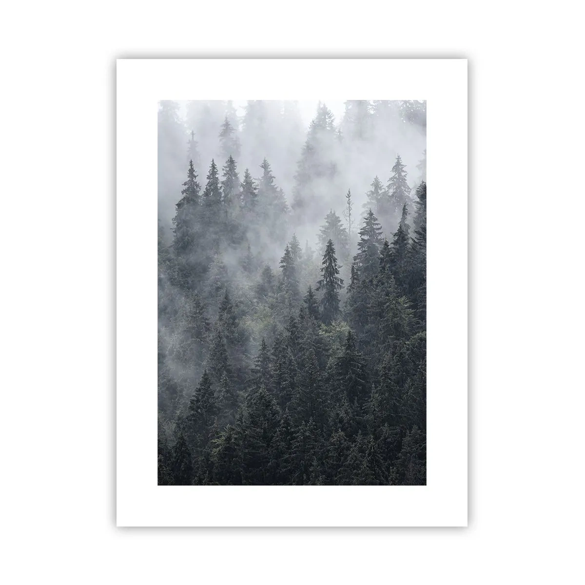Affisch - Gryning i skogen - 30x40 cm
