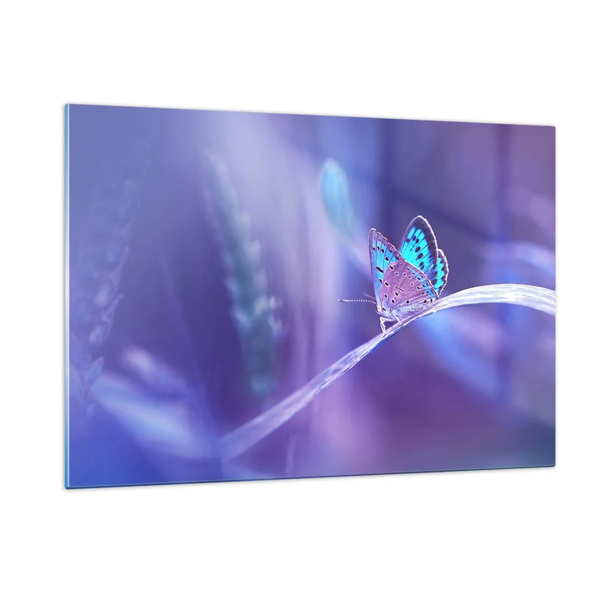 Glastavla - Bild på glas - Naturens klenoder - 120x80 cm