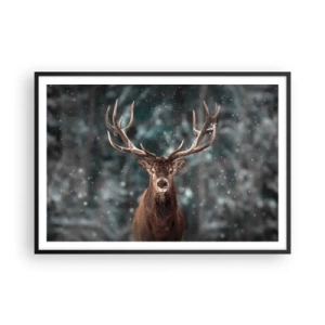 Affisch i svart ram - Krönt skogens kung - 100x70 cm