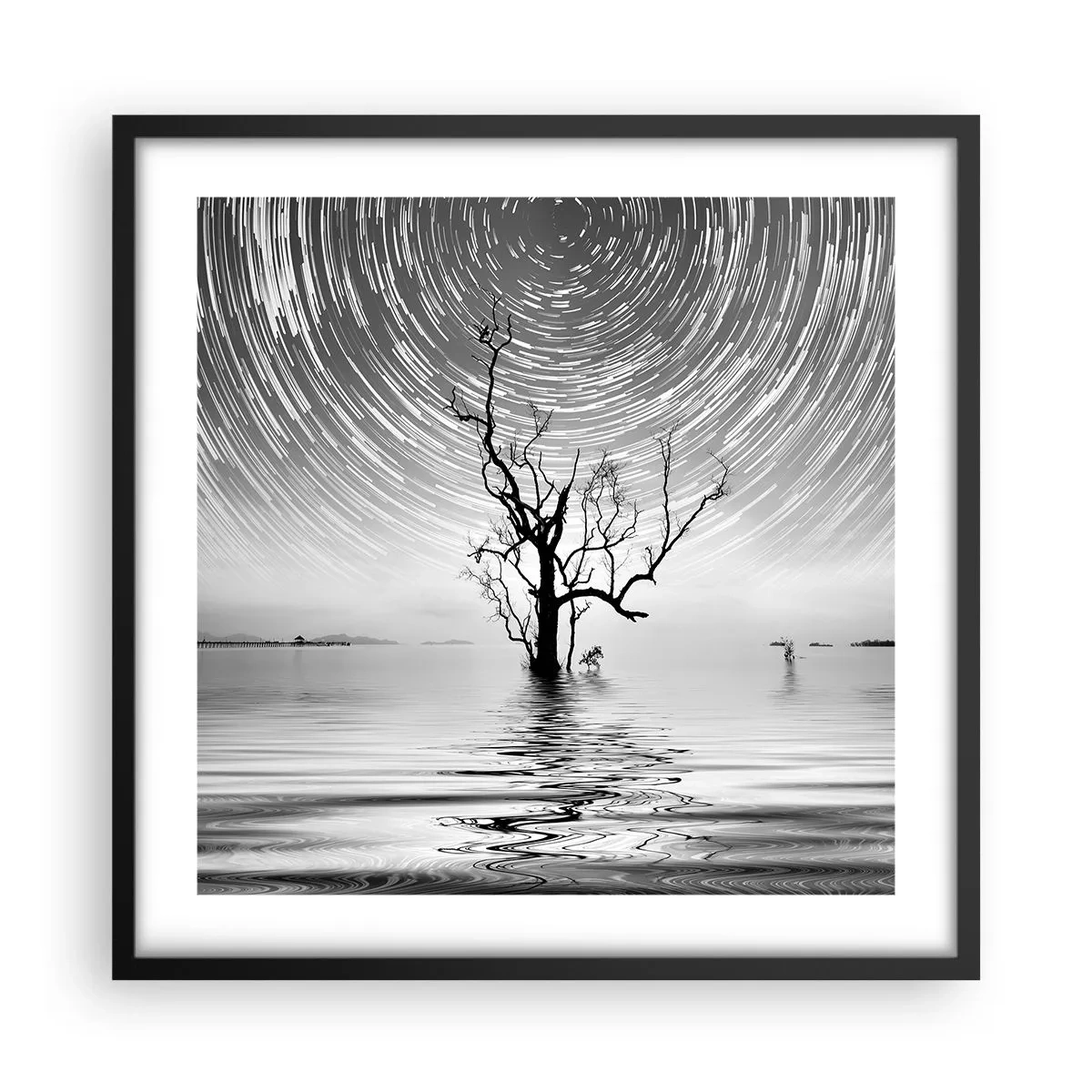 Affisch i svart ram - Naturens symfoni - 50x50 cm