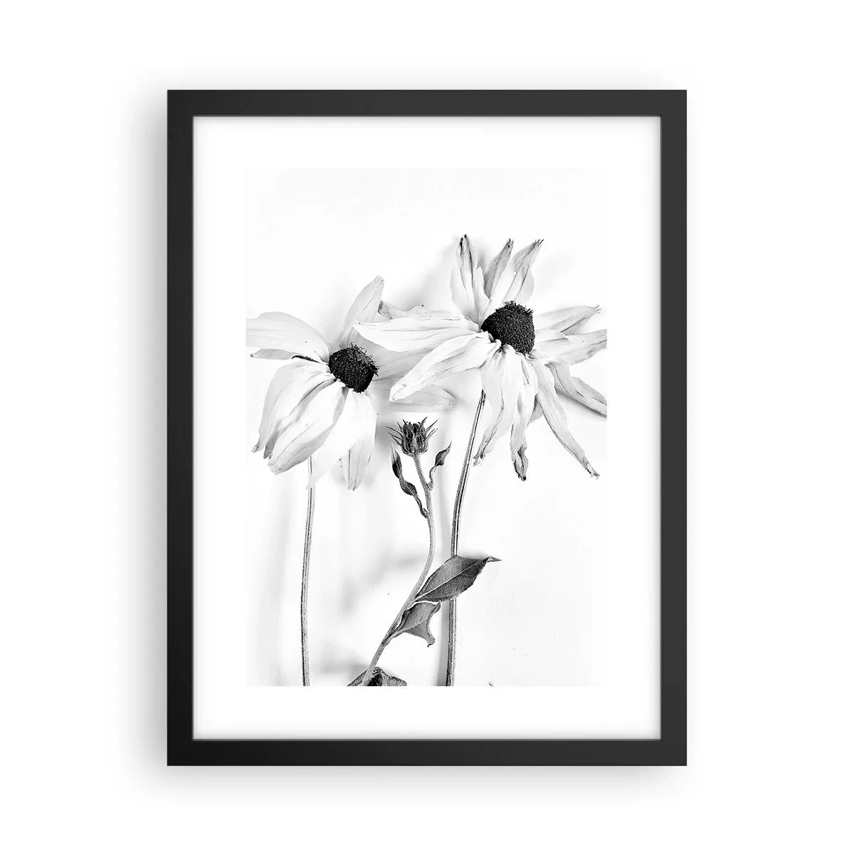 Affisch i svart ram - Ingen vill vara ensam - 30x40 cm