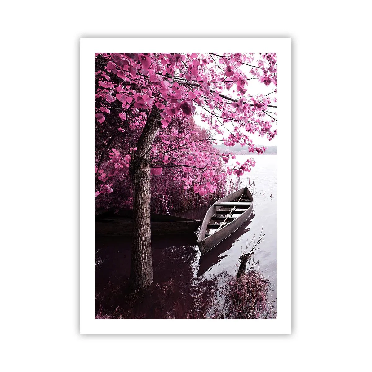 Affisch - I rosa tystnad - 50x70 cm
