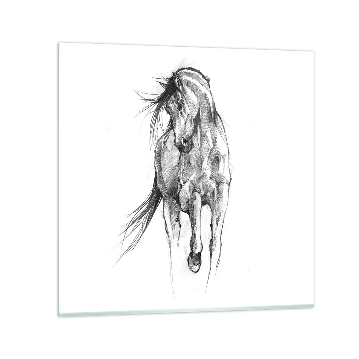 Glastavla - Bild på glas - Elegant trav - 50x50 cm