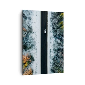 Canvastavla - Bild på duk - Genom vinterskogen - 50x70 cm