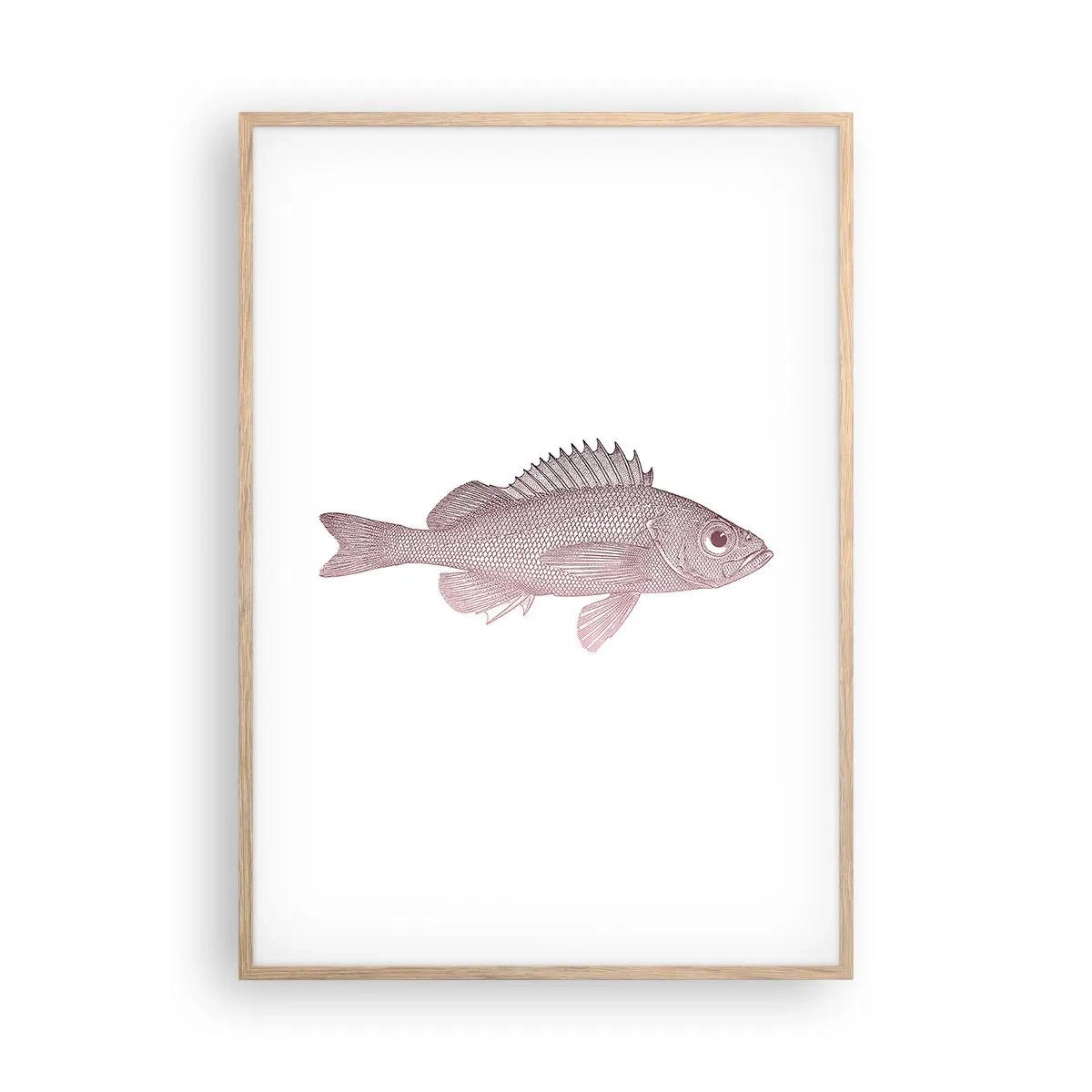 Affisch i ram av ljusek - Storögd fisk - 70x100 cm