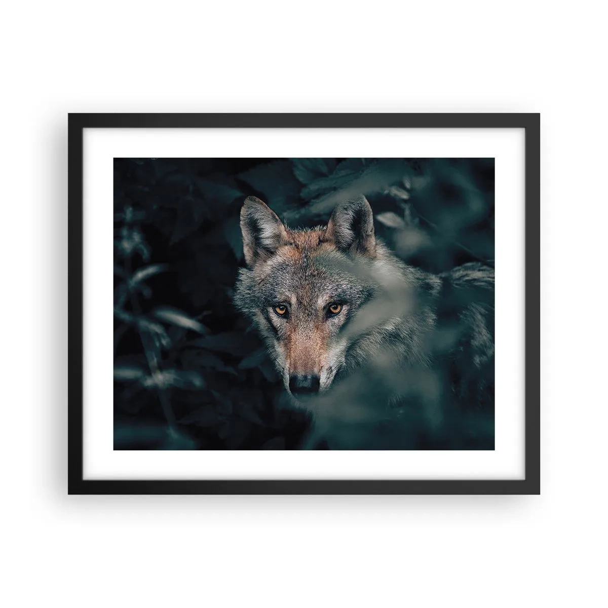 Affisch i svart ram - Jägare - 50x40 cm