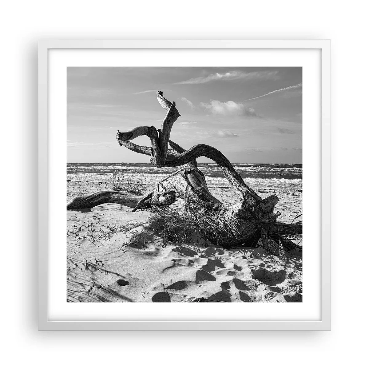 Affisch i vit ram - Havets skulptur - 50x50 cm