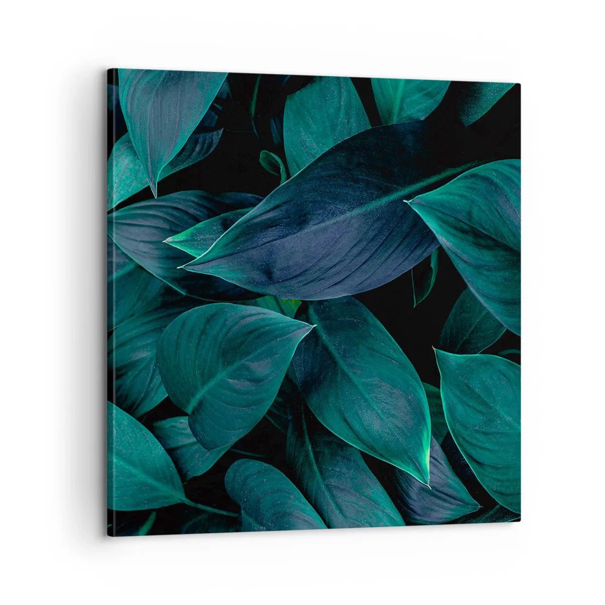 Canvastavla - Bild på duk - Grönskan själv - 60x60 cm