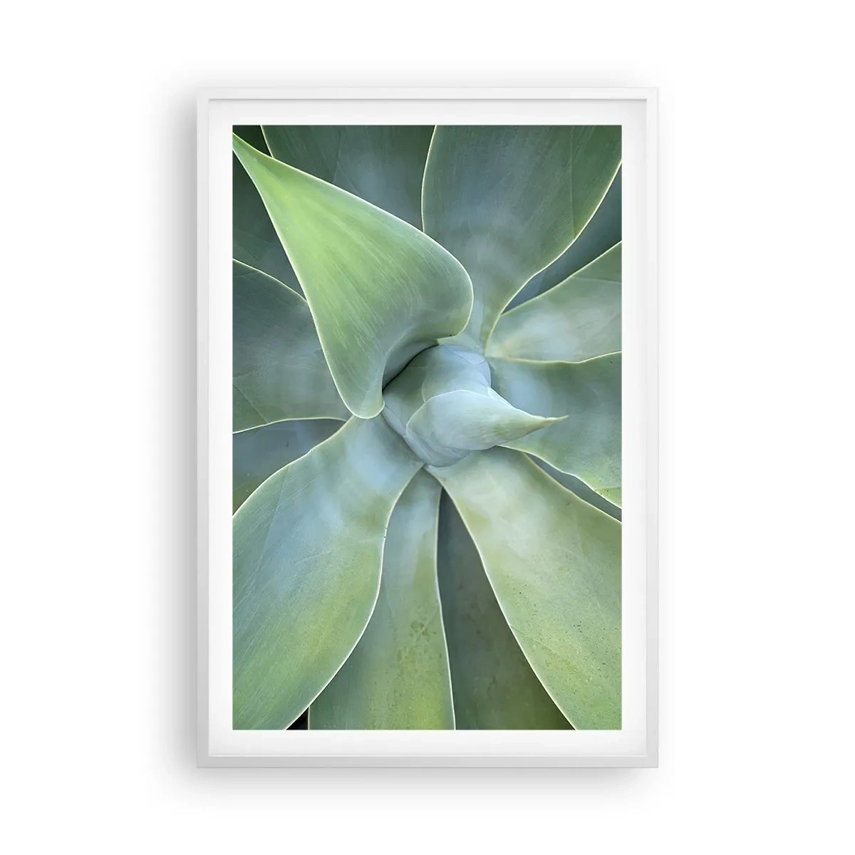 Affisch i vit ram - Det gröna föds - 61x91 cm