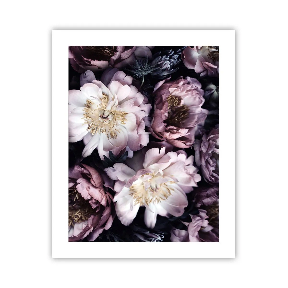 Affisch - En bukett i gammal stil - 40x50 cm